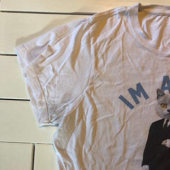 π3 for $15π "I'm a Cat Person" Vintage Tee - Picture 6 of 7